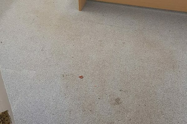 Dirty office carpets prior to cleaning
