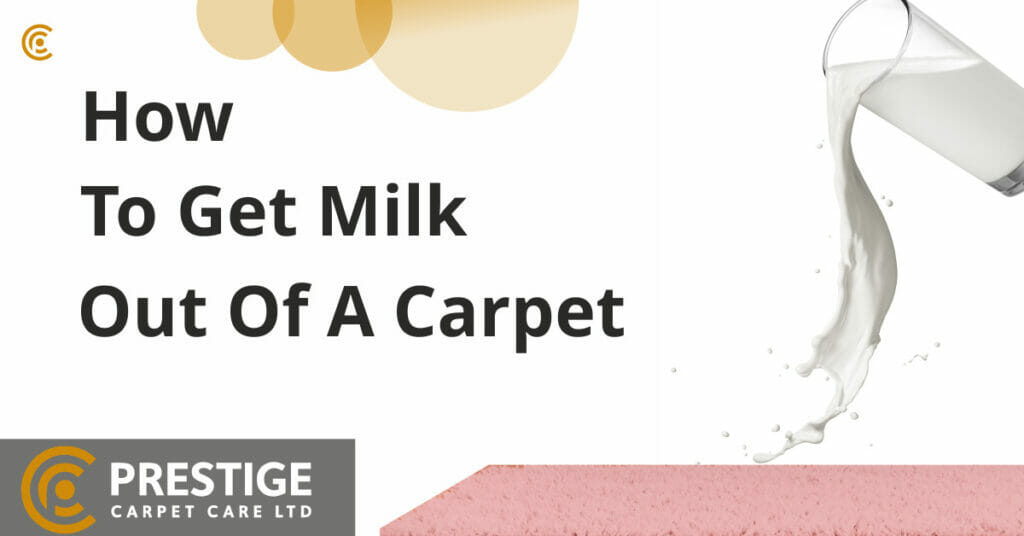 How to get milk out of carpet