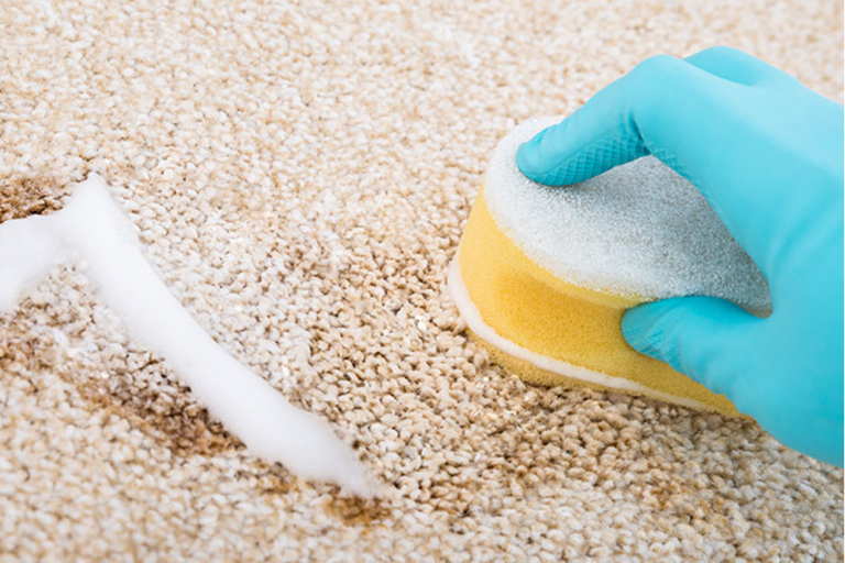 How to get milk out of a carpet Our easy guide to milk stain and