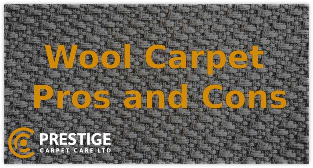 wool carpet pros and cons in the workplace Prestige Carpet Care Ltd T