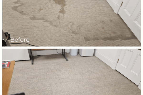 Before and after results of a complex carpet restoration on Piccadilly, Mayfair, using Host Von Schrader dry extraction and Orbot encapsulation to remove water and coffee stains
